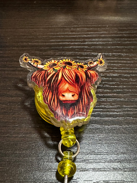 Highland Cow